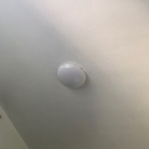 Meet your Posher, Francisco